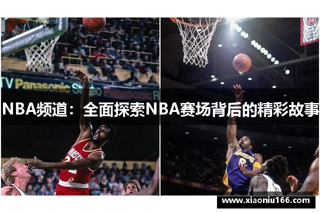 NBA频道：全面探索NBA赛场背后的精彩故事