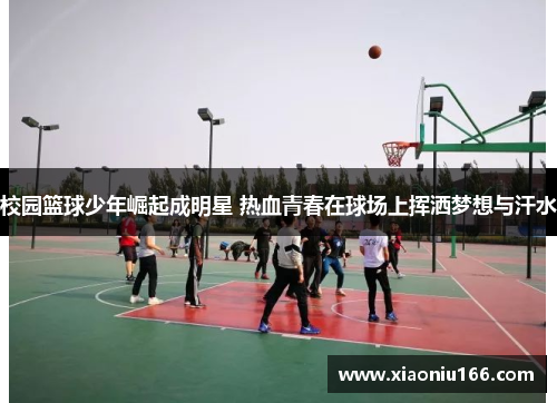 校园篮球少年崛起成明星 热血青春在球场上挥洒梦想与汗水