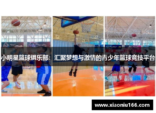 小明星篮球俱乐部：汇聚梦想与激情的青少年篮球竞技平台